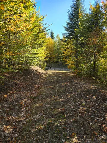 $19,900 | Lot 25-6w Bates Ridge Road, Houlton, ME 04730