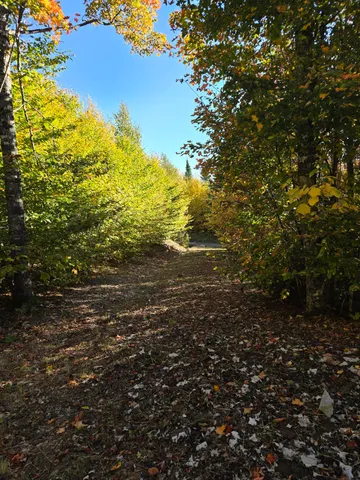 $19,900 | Lot 25-6w Bates Ridge Road, Houlton, ME 04730