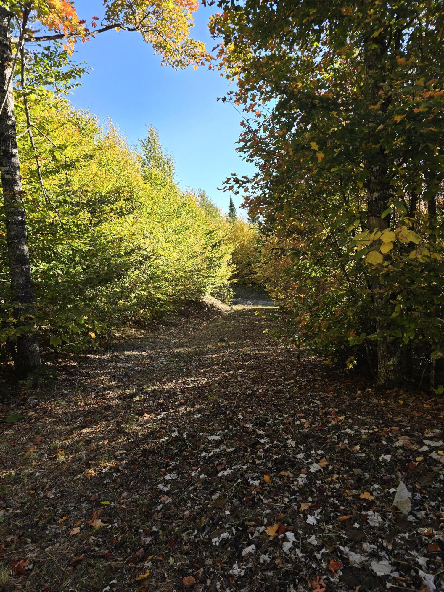 Lot 25-6w Bates Ridge Road Houlton, ME 04730 - Photo 4 of 8 20250927_155841