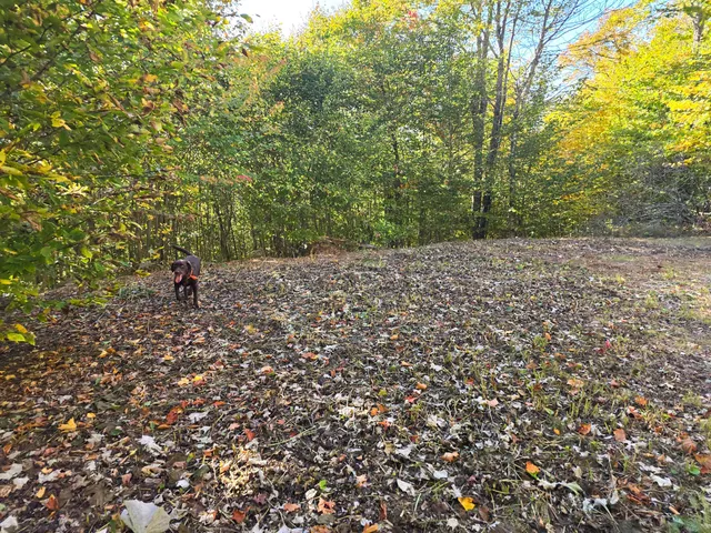 $19,900 | Lot 25-6w Bates Ridge Road, Houlton, ME 04730