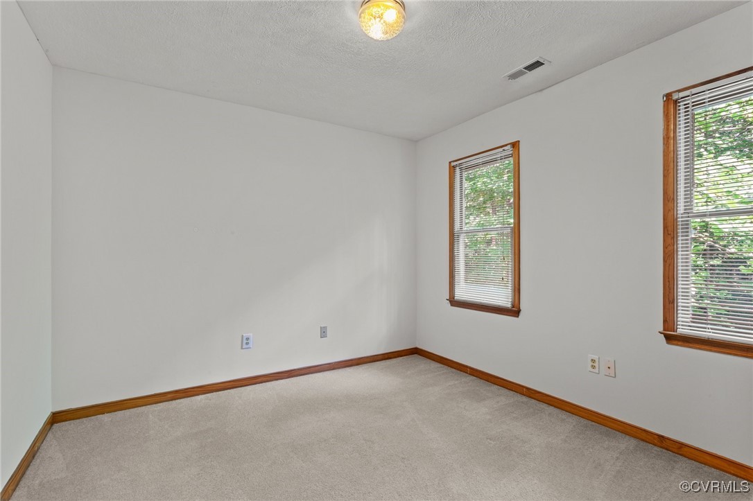 3138 Pineview Drive Powhatan, VA 23139 - Photo 40 of 46 an empty room with windows and mirror