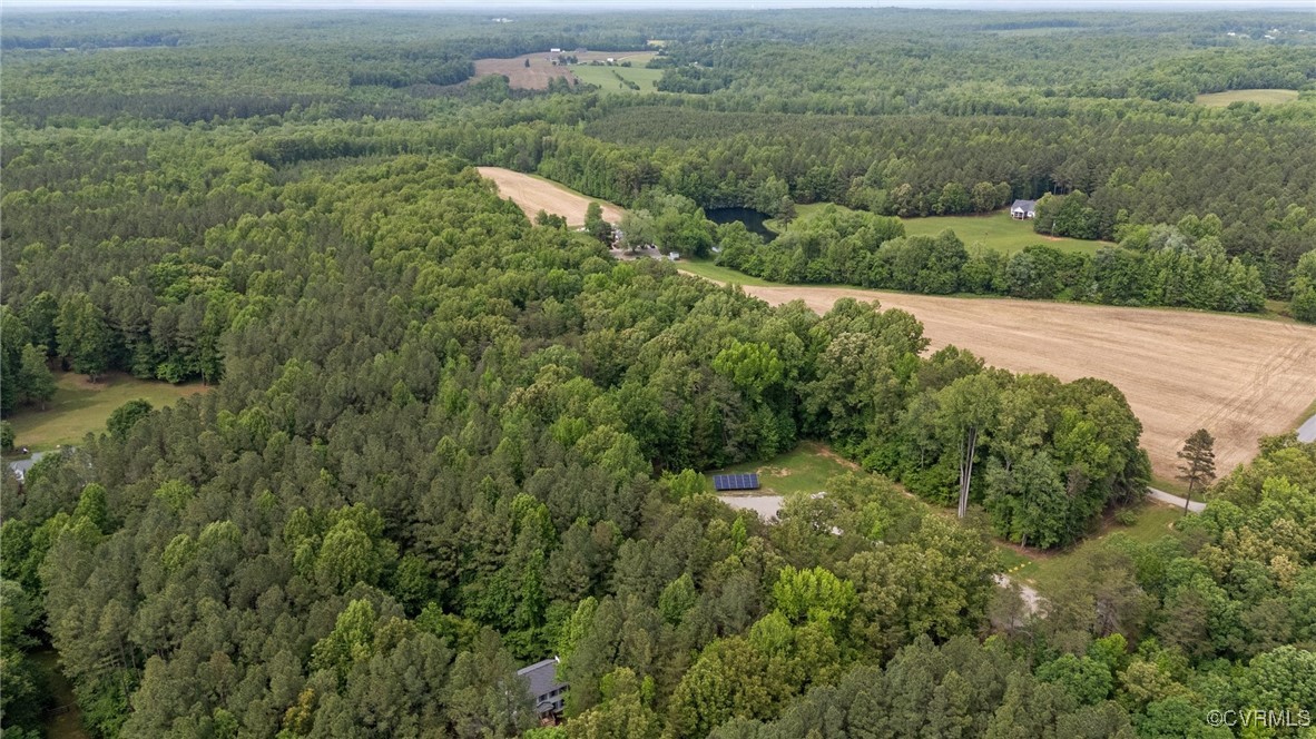 3138 Pineview Drive Powhatan, VA 23139 - Photo 8 of 46 a view of a lush green forest with houses