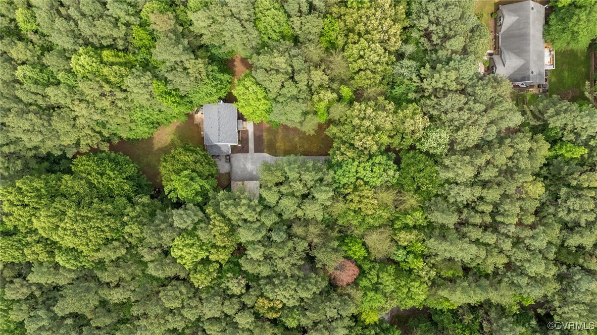 3138 Pineview Drive Powhatan, VA 23139 - Photo 9 of 46 a view of a plants in a backyard of a house