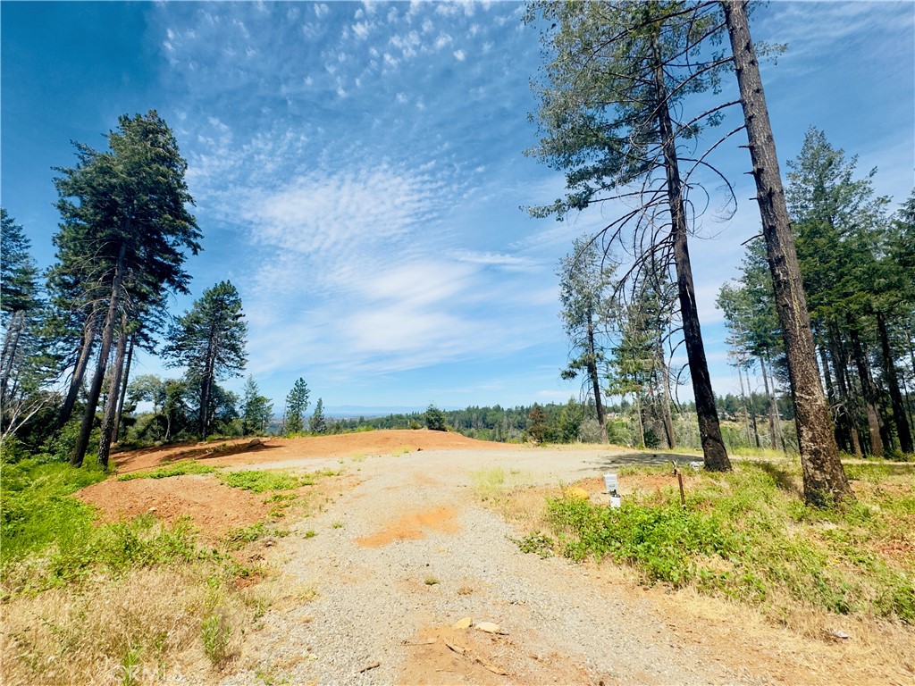 1400 Bader Mine Road Paradise, CA 95969 - Photo 9 of 16