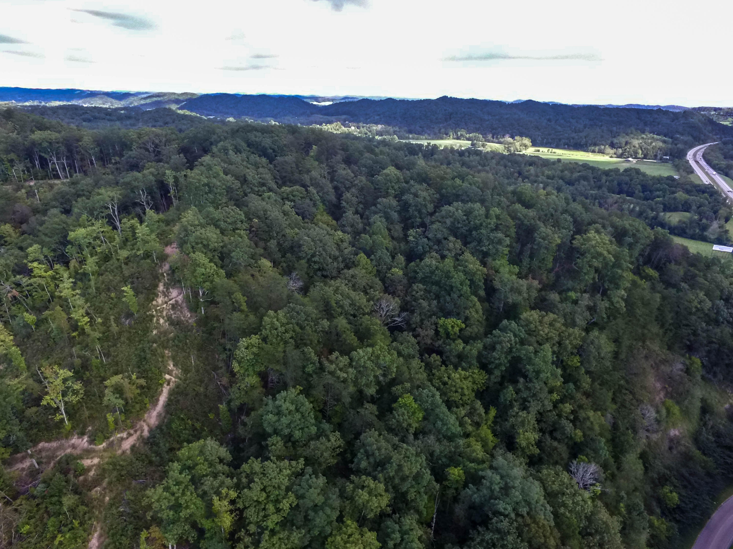 Brooks Gap Road Clinton, TN 37716 - Photo 3 of 8 DJI_0180