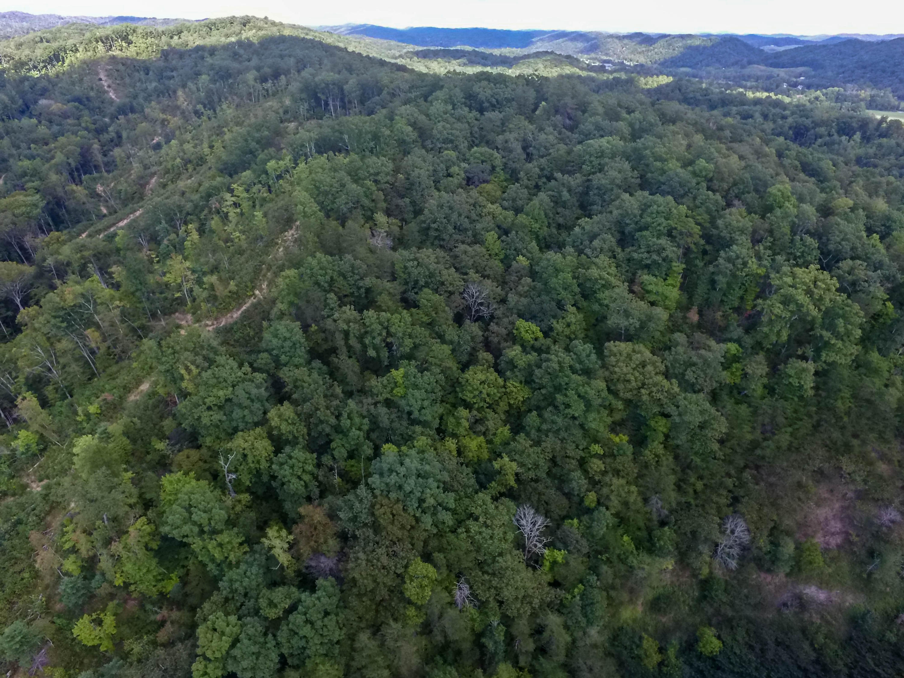 Brooks Gap Road Clinton, TN 37716 - Photo 7 of 8 DJI_0195