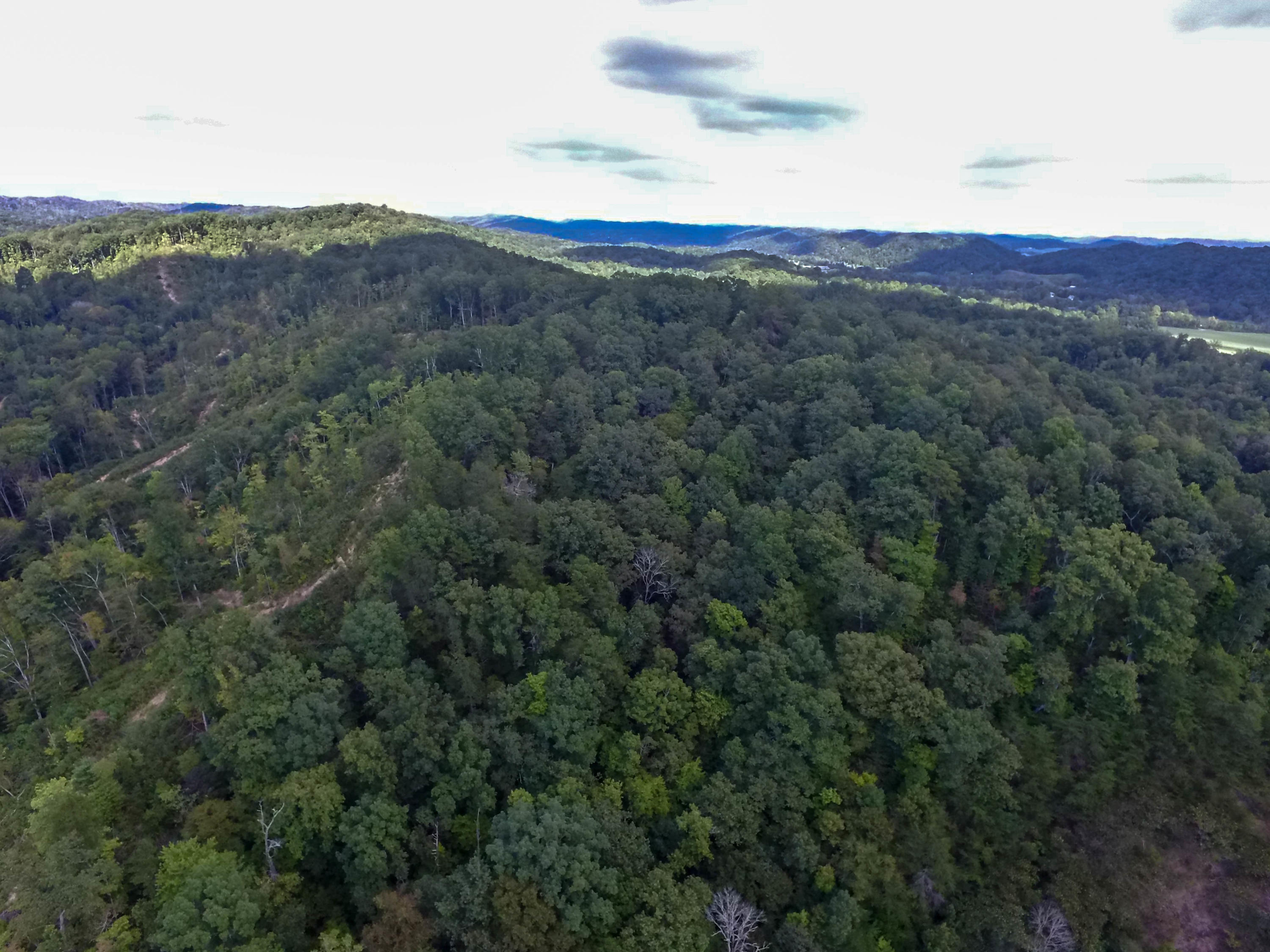 Brooks Gap Road Clinton, TN 37716 - Photo 8 of 8 DJI_0196