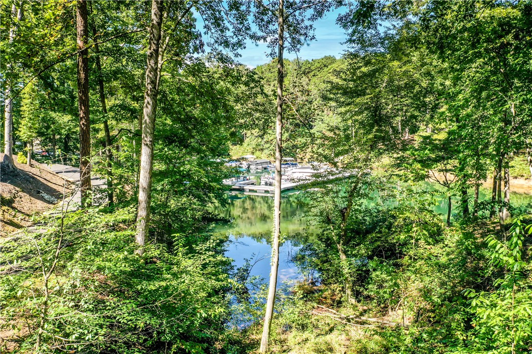 13 Lead Line Way Salem, SC 29676 - Photo 4 of 50