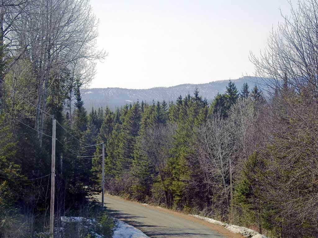 Lot 25 Oxbow Road Oxbow, ME 04764 - Photo 6 of 73 oxbow-me-land