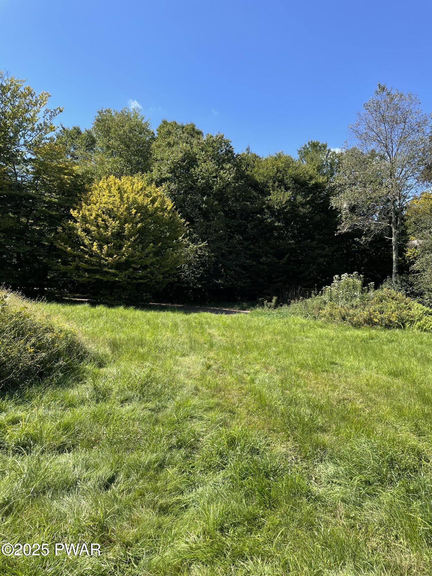 65 Mane Street Equinunk, PA 18417 - Photo 10 of 18