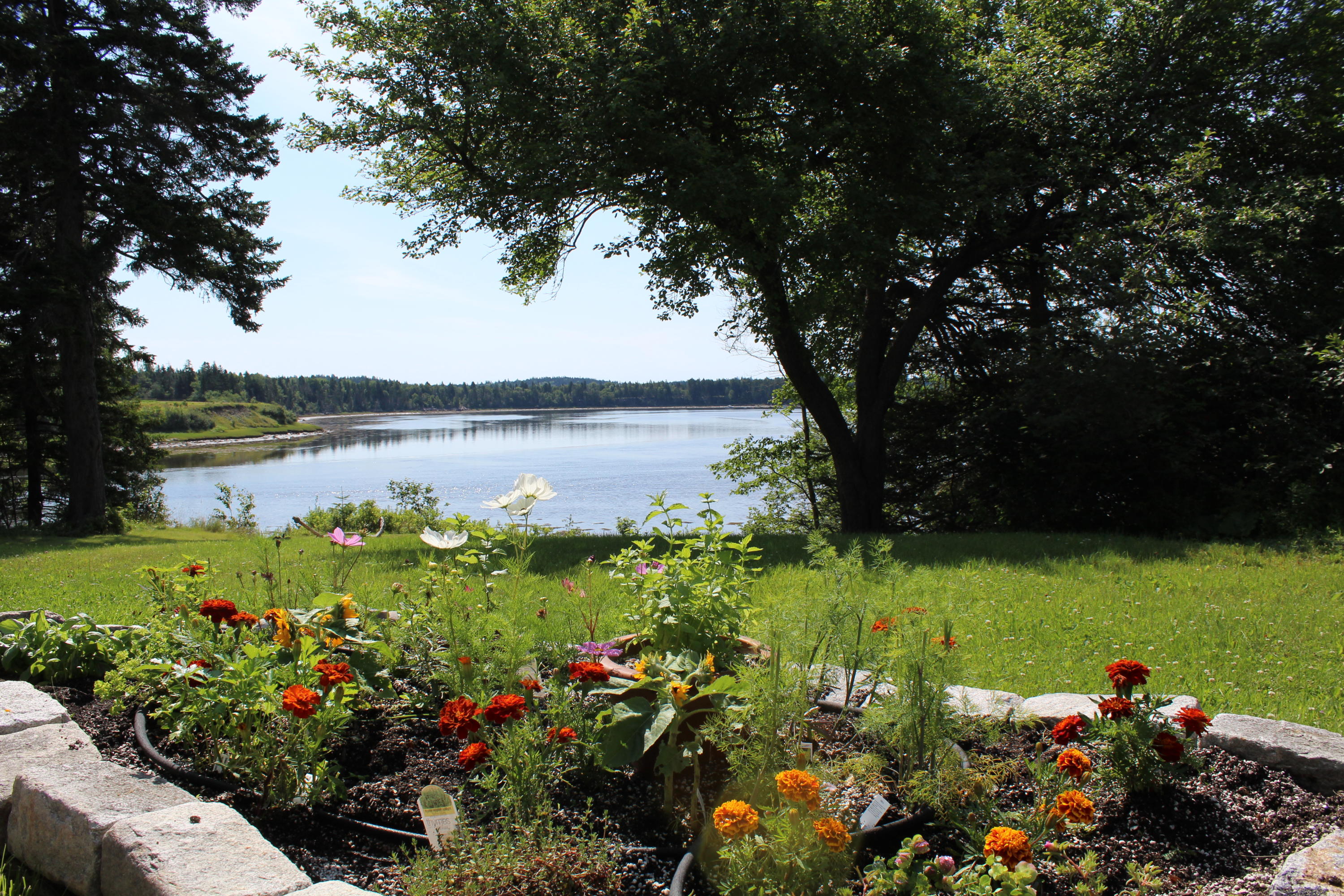262 Looks Point Road Jonesboro, ME 04648 - Photo 5 of 118 IMG_5623