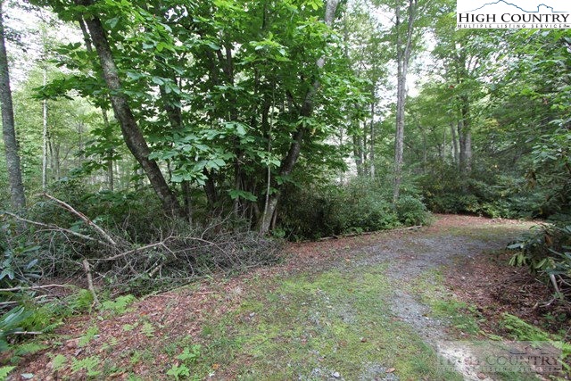 2 B Russ Cornett Road Boone, NC 28607 - Photo 3 of 13 Gallery Image 3