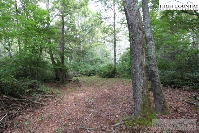 2 B Russ Cornett Road Boone, NC 28607 - Photo 5 of 13 Gallery Image 5