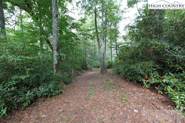 2 B Russ Cornett Road Boone, NC 28607 - Photo 6 of 13 Gallery Image 6