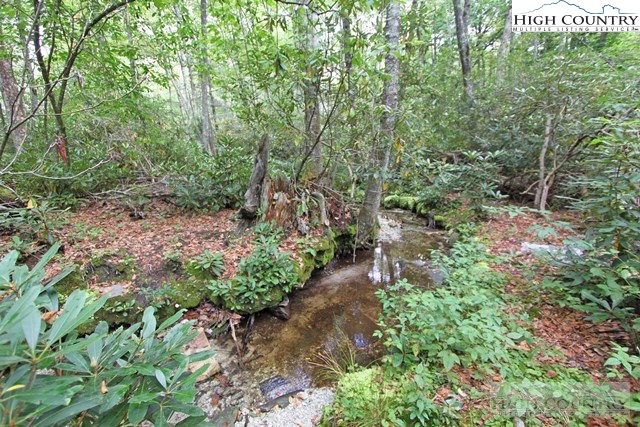 2 B Russ Cornett Road Boone, NC 28607 - Photo 7 of 13 Gallery Image 7