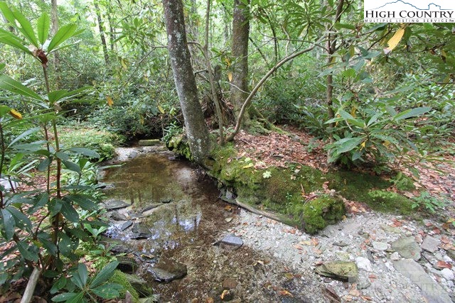2 B Russ Cornett Road Boone, NC 28607 - Photo 10 of 13 Gallery Image 10
