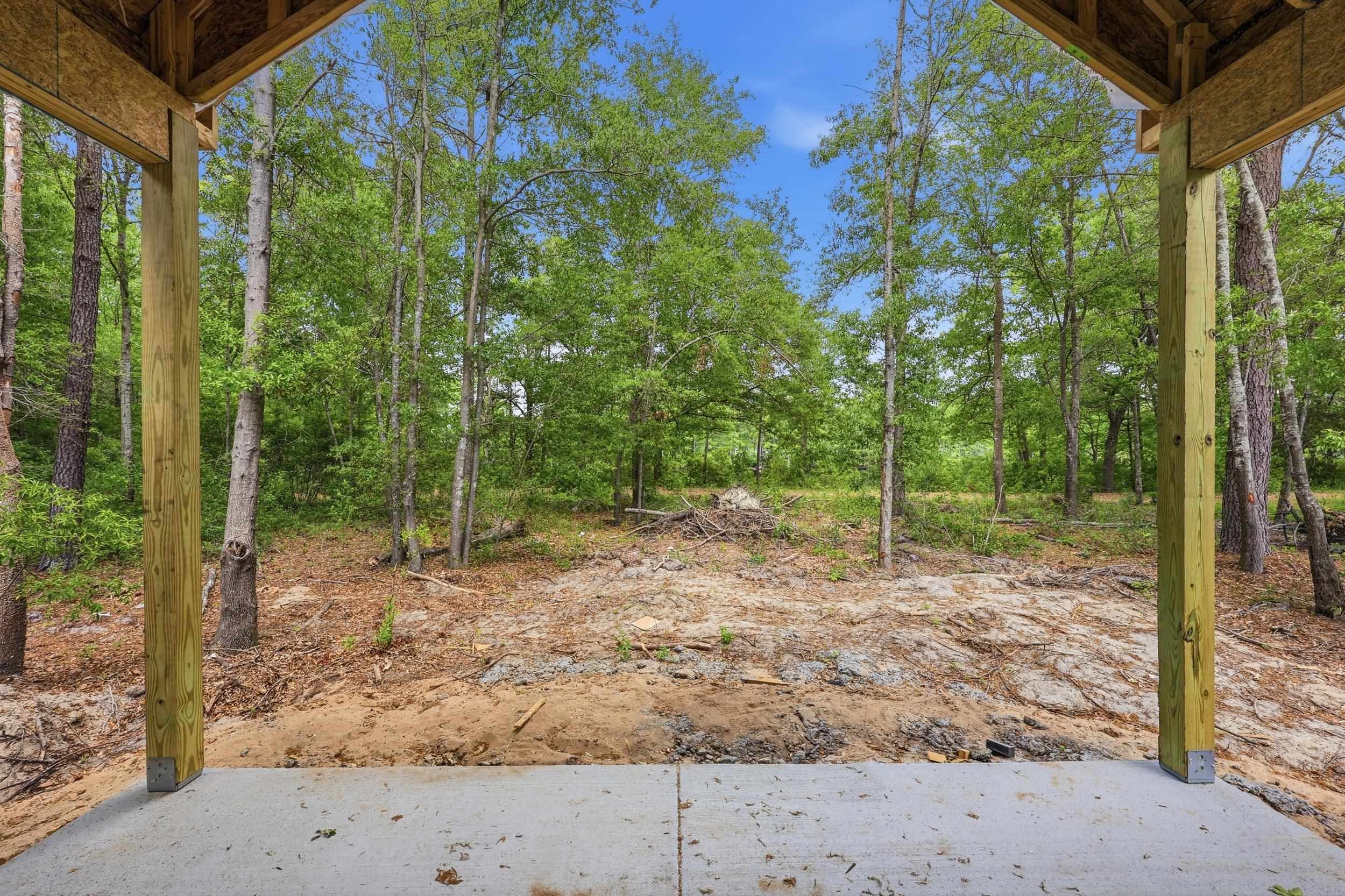 664 Goretown Loop Loris, SC 29569 - Photo 6 of 18