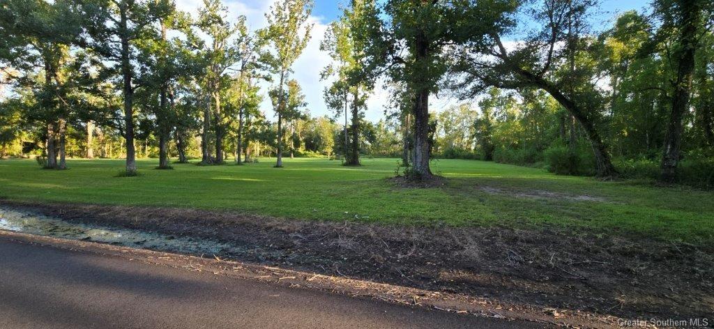 0 Navarre Road Bell City, LA 70630 - Photo 3 of 11