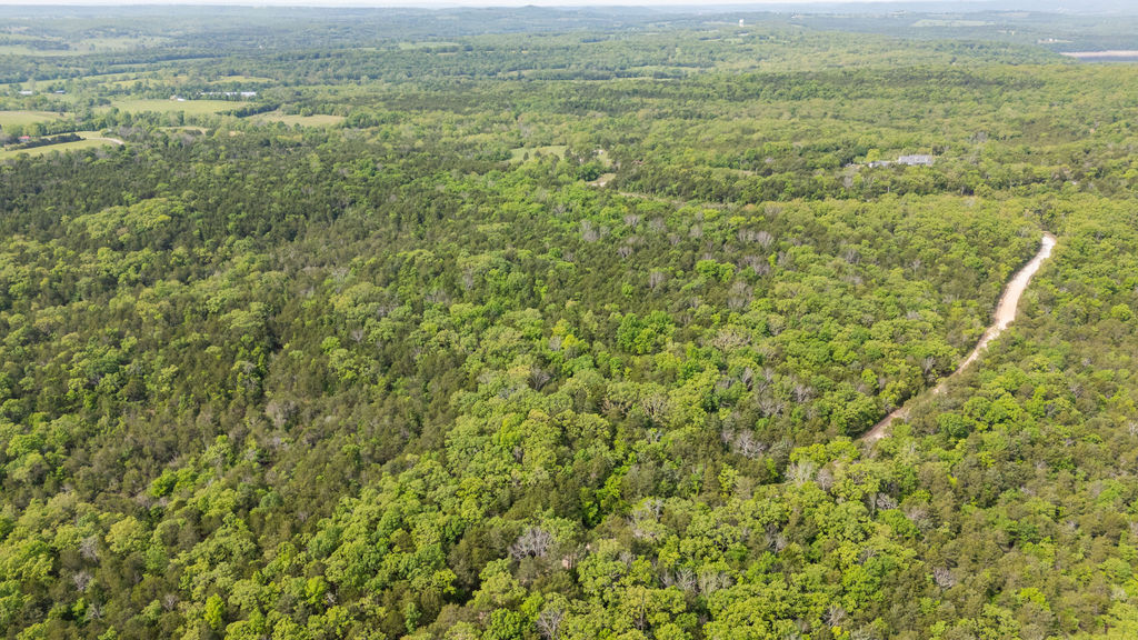 1 Horseshoe Bnd Road Lead Hill, AR 72644 - Photo 11 of 46 Expansive natural landscape featuring dense tree coverage