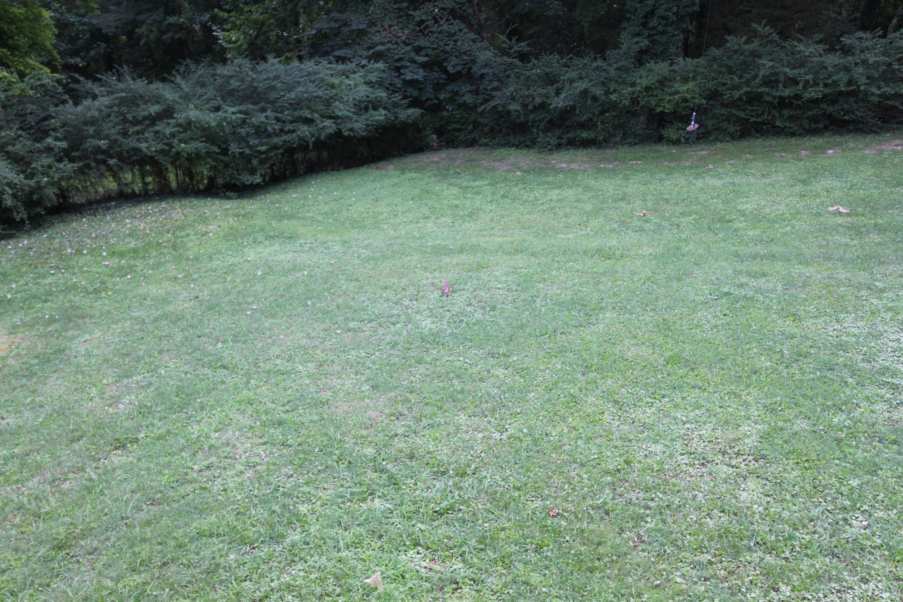 120 Malvern Road Oak Ridge, TN 37830 - Photo 14 of 31 IMG_0986
