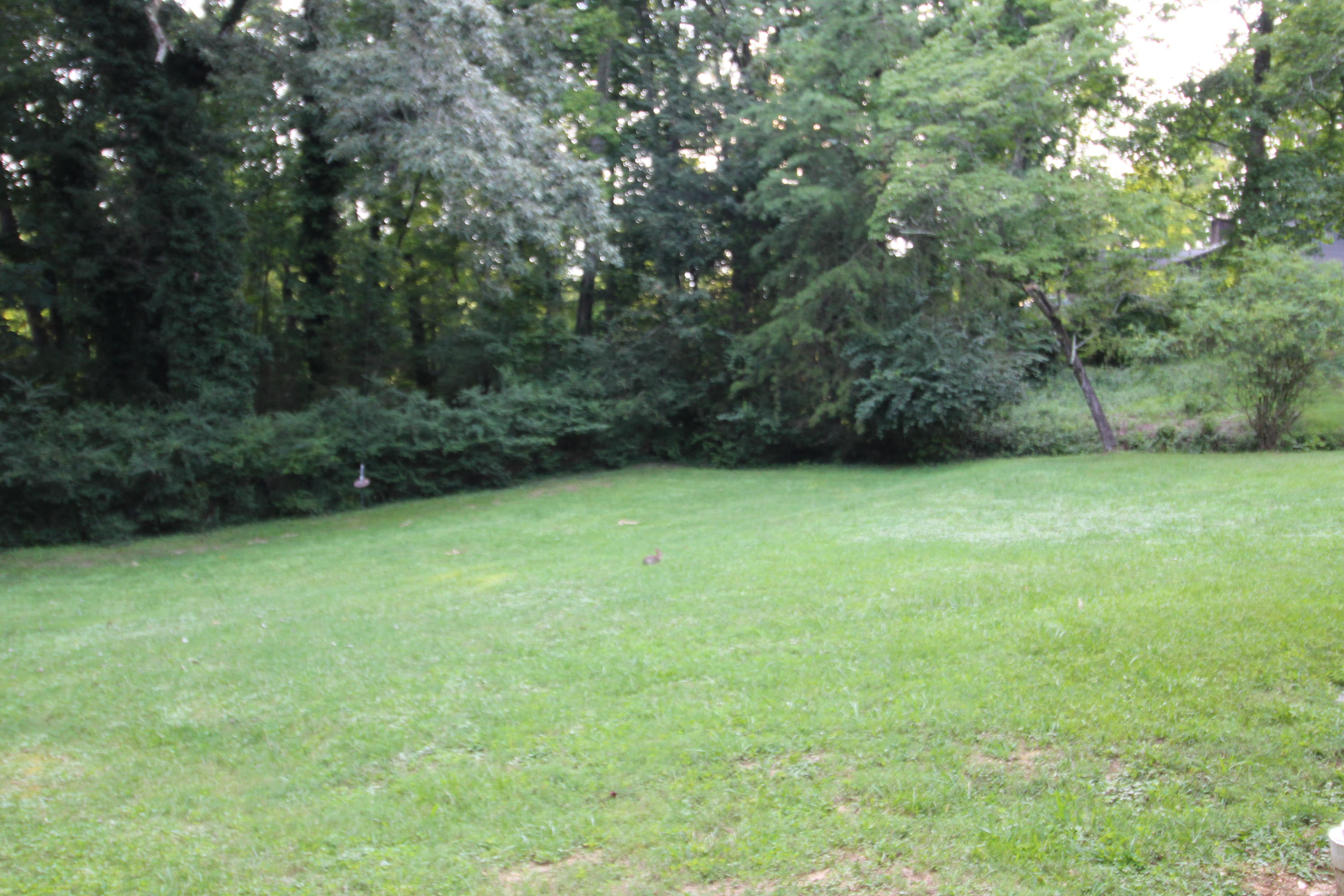 120 Malvern Road Oak Ridge, TN 37830 - Photo 15 of 31 IMG_0998
