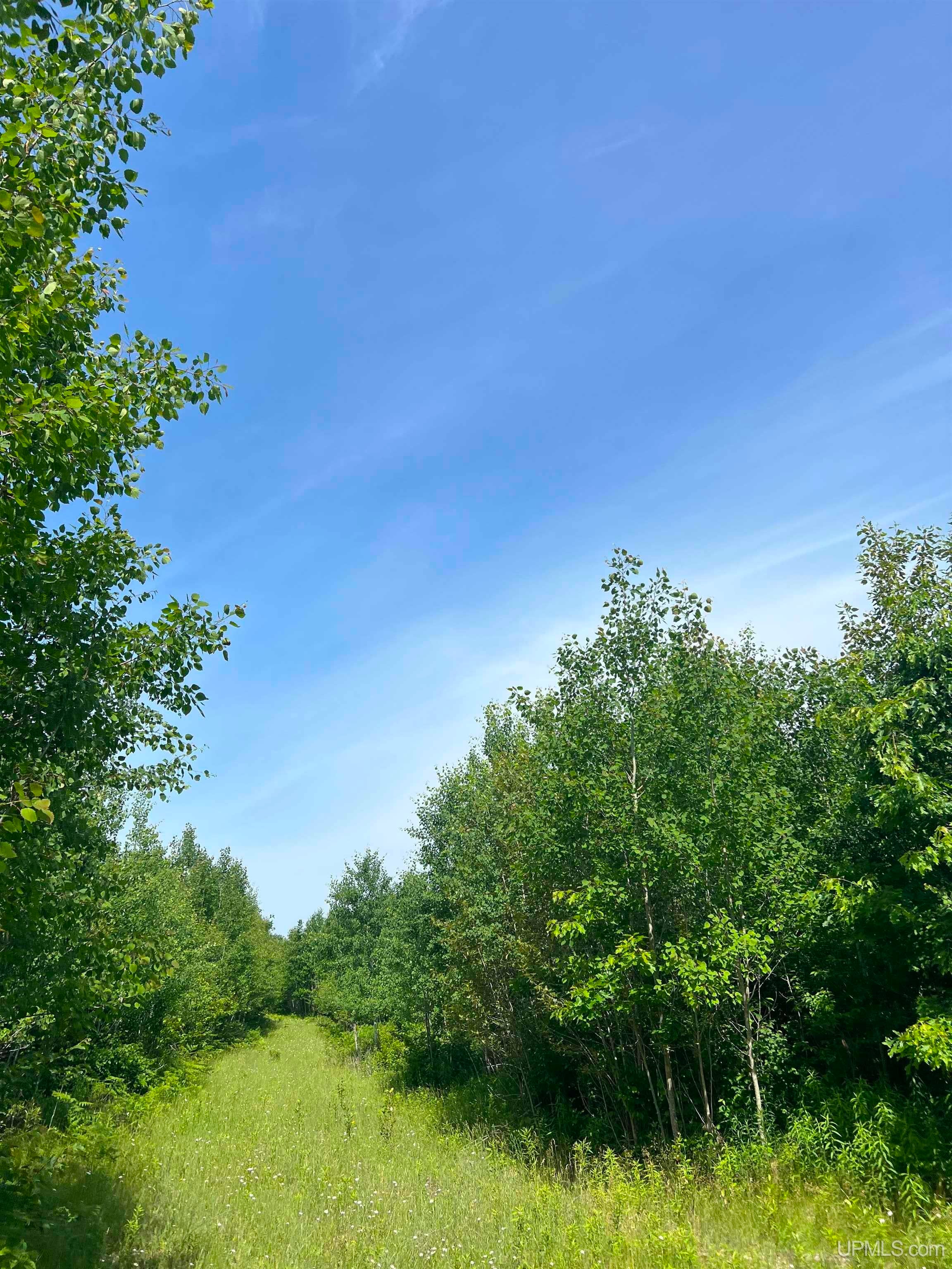 Tbd Chalk Hills Road Daggett, MI 49821 - Photo 28 of 59 Gallery Image 28
