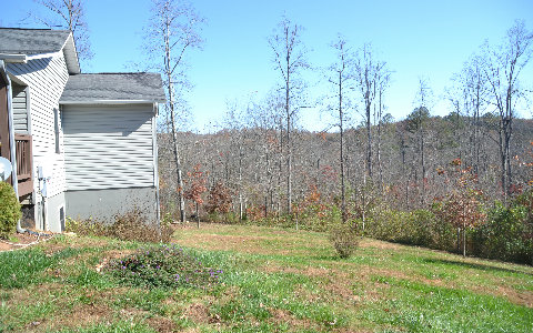 213 Ridge Top Circle Blue Ridge, GA 30513 - Photo 1 of 1 Main View