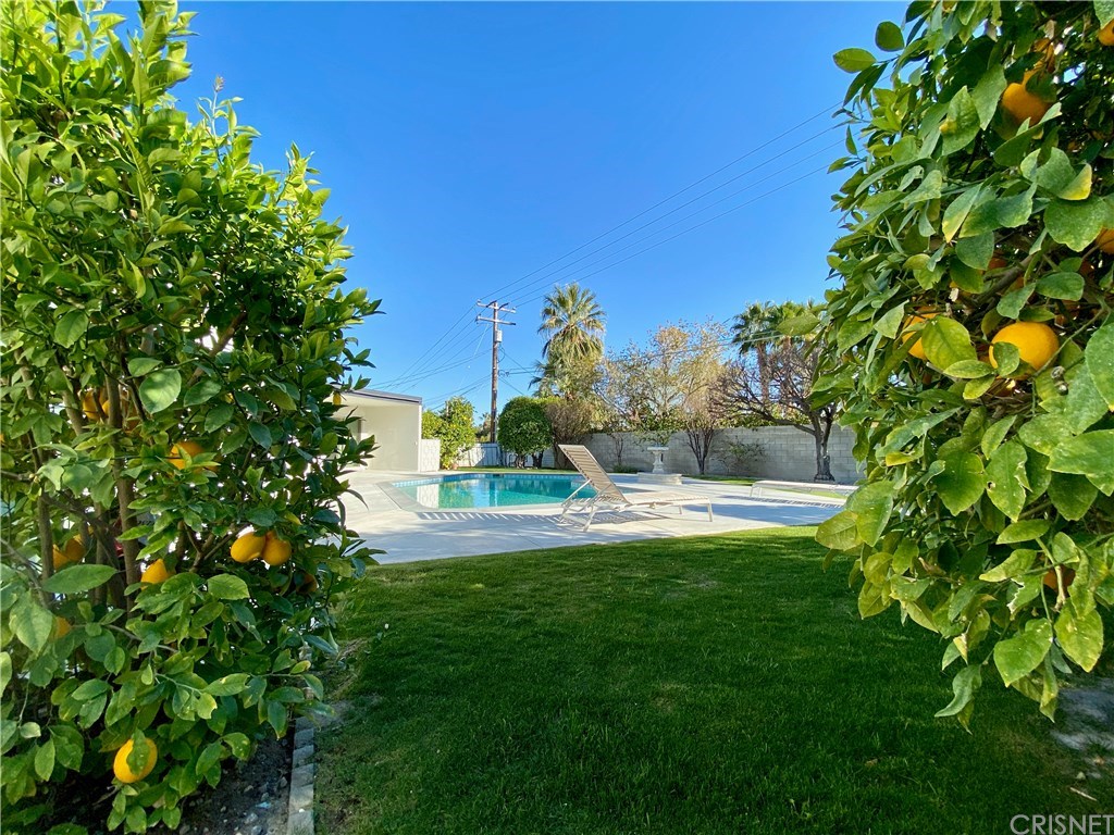 2295 East Alejo Road Palm Springs, CA 92262 - Photo 9 of 71
