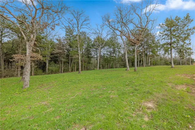 a view of a park with large trees