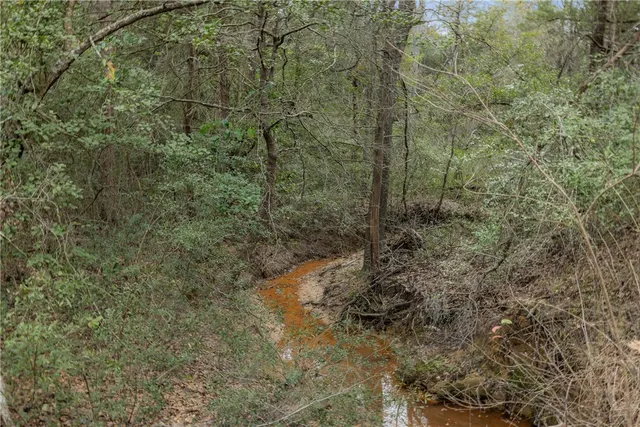 a close up of a plant in a bathroom