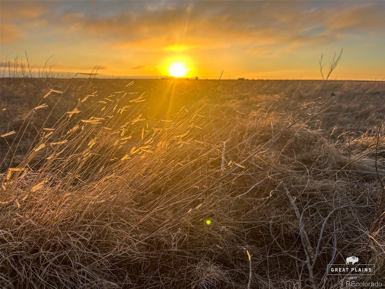 2-a 5 County Road Rush, CO 80833 - Photo 8 of 8 view of an ocean