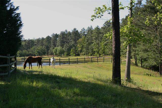 331 Rooty Branch Road Vass, NC 28394 - Photo 24 of 25 Additional Photo