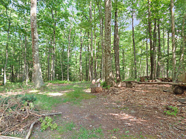 104 Spur Road Tafton, PA 18464 - Photo 47 of 56 Additional lot included with house lot