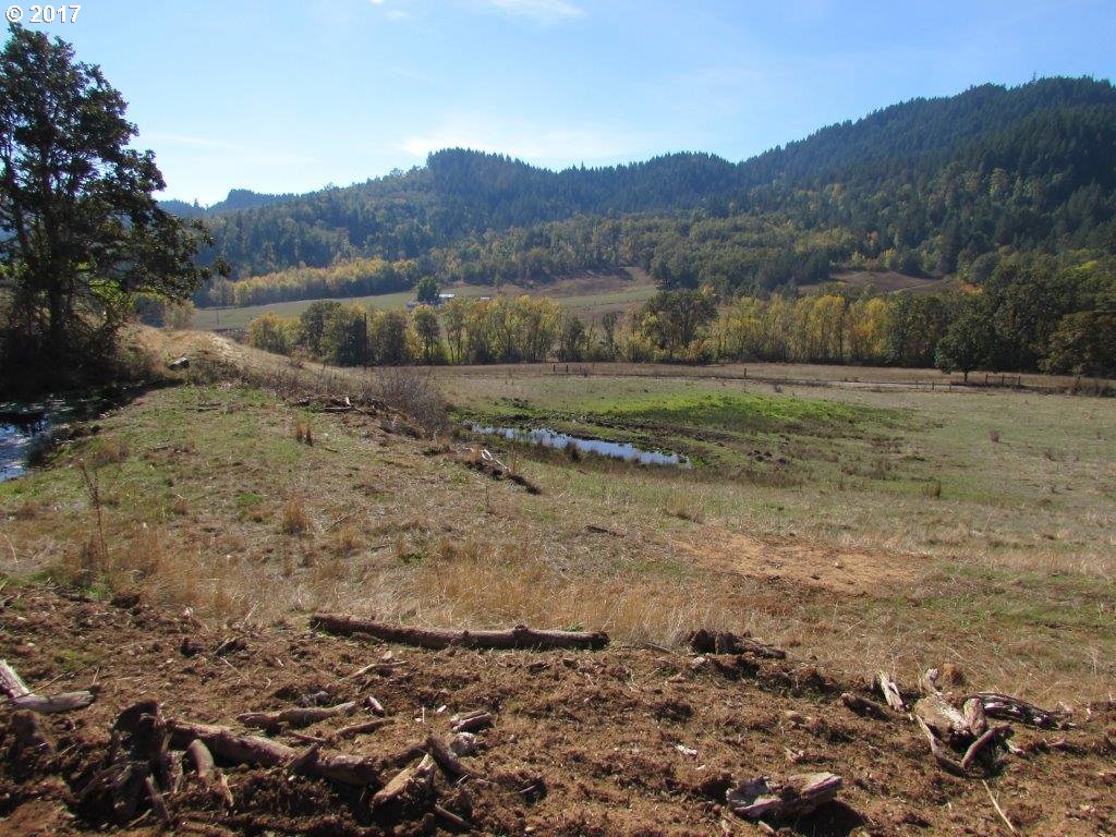 4967 Olalla Road Winston, OR 97496 - Photo 13 of 21