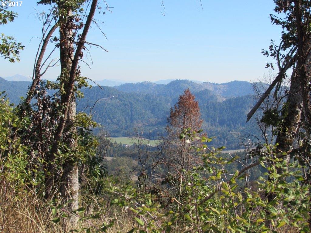4967 Olalla Road Winston, OR 97496 - Photo 14 of 21