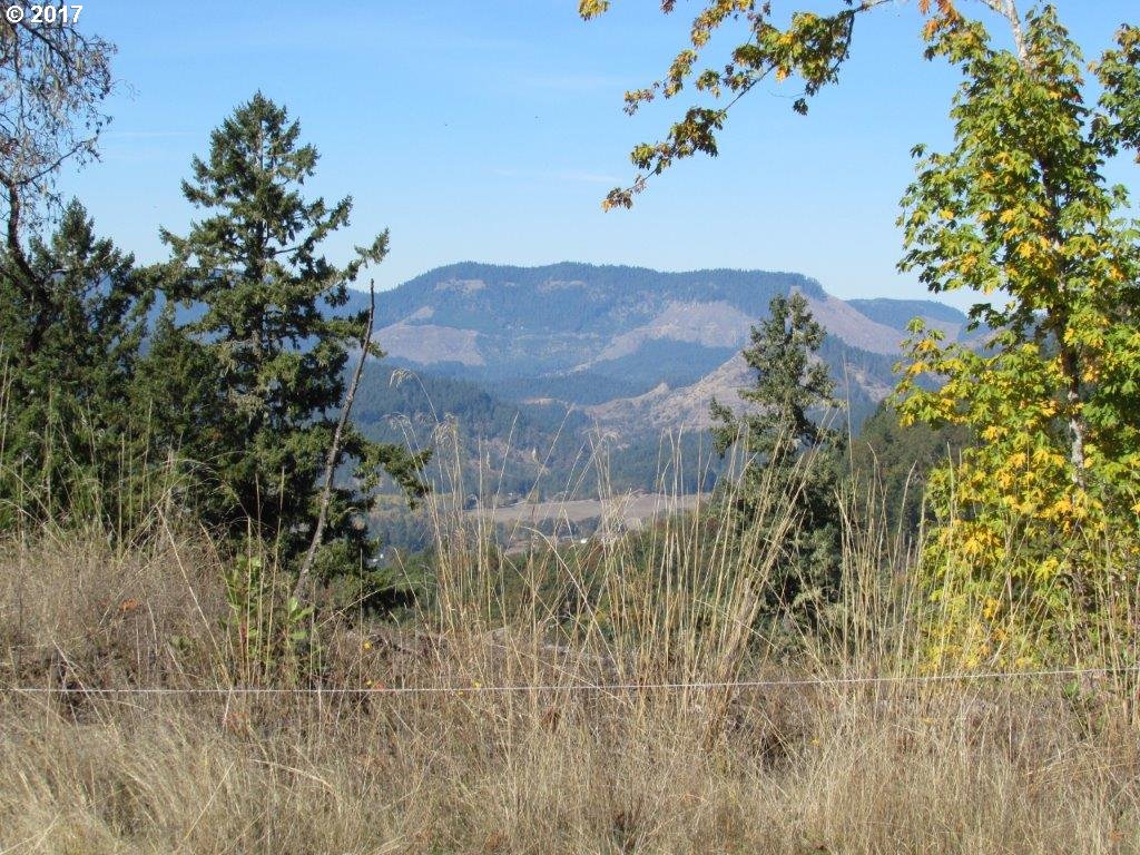 4967 Olalla Road Winston, OR 97496 - Photo 15 of 21