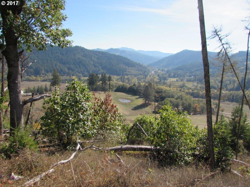 4967 Olalla Road Winston, OR 97496 - Photo 16 of 21