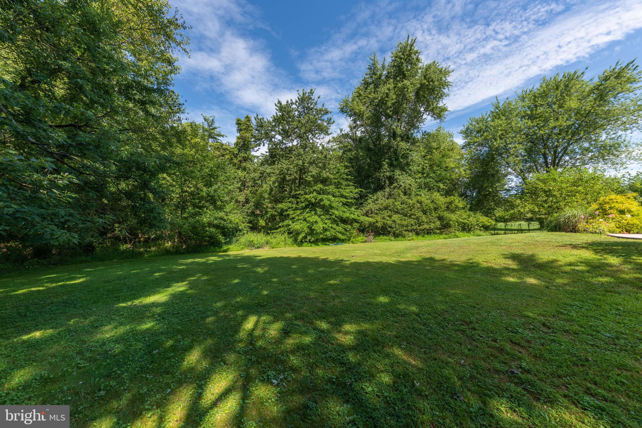 308 Park Road Ambler, PA 19002 - Photo 52 of 60 Back Yard