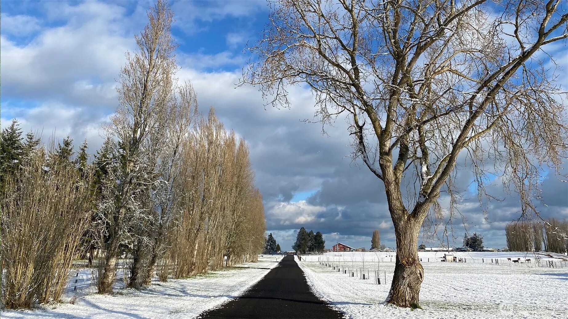 0 Cameron Road Sequim, WA 98382 - Photo 12 of 37 a view of a outdoor space