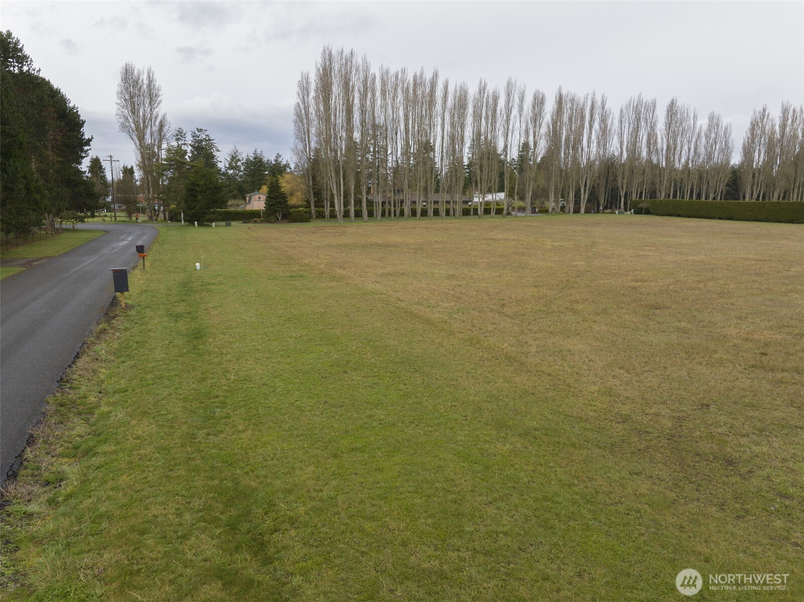 0 Cameron Road Sequim, WA 98382 - Photo 19 of 37 a view of a field with trees in the background