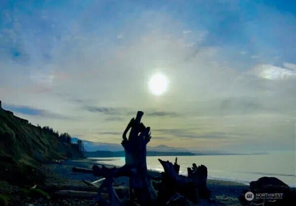 0 Cameron Road Sequim, WA 98382 - Photo 34 of 37 a view of outside space and yard