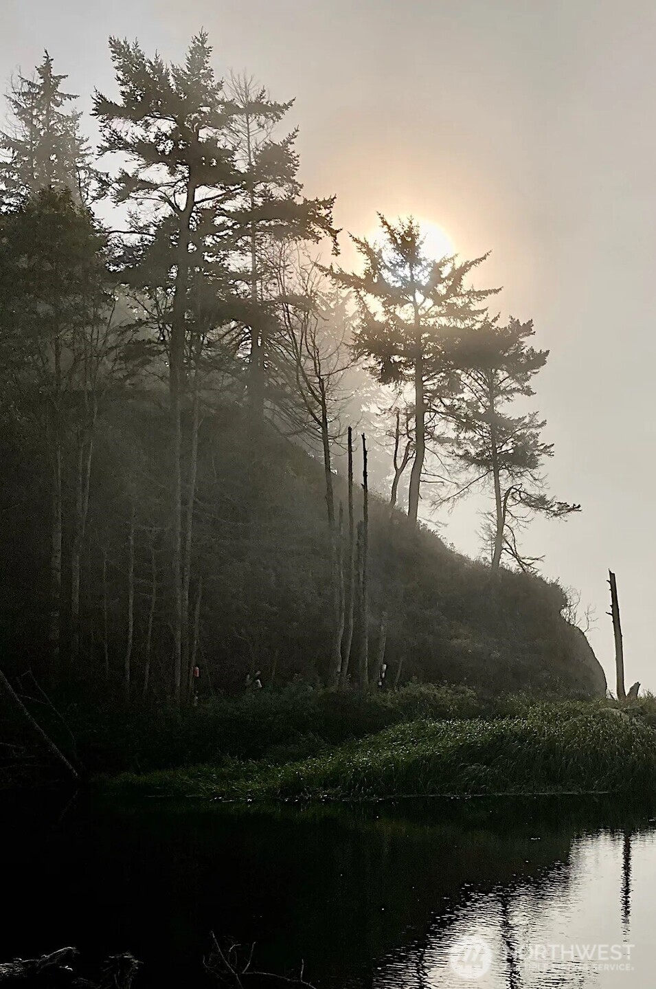 0 Cameron Road Sequim, WA 98382 - Photo 36 of 37 a view of outdoor space and yard