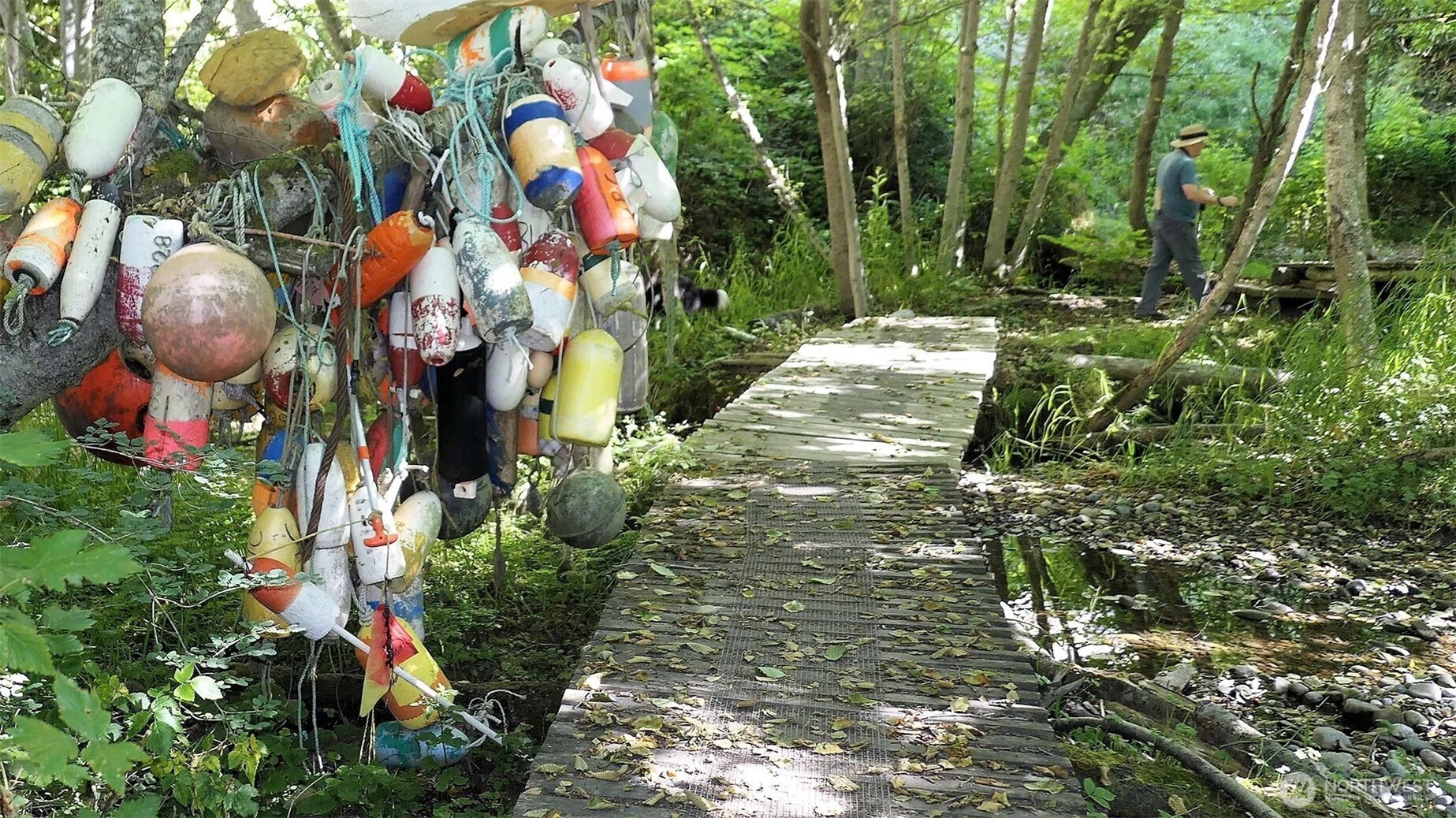 0 Cameron Road Sequim, WA 98382 - Photo 8 of 37 a backyard of a house with lots of green space