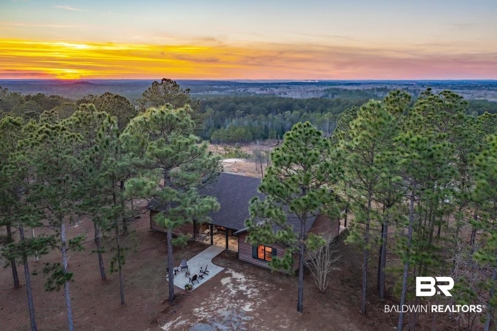 0 Private Road Millry, AL 36558 - Photo 1 of 50
