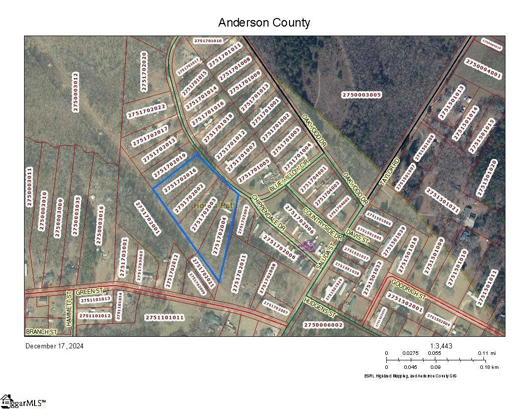 0 Blue Willow Circle Honea Path, SC 29654 - Photo 3 of 9