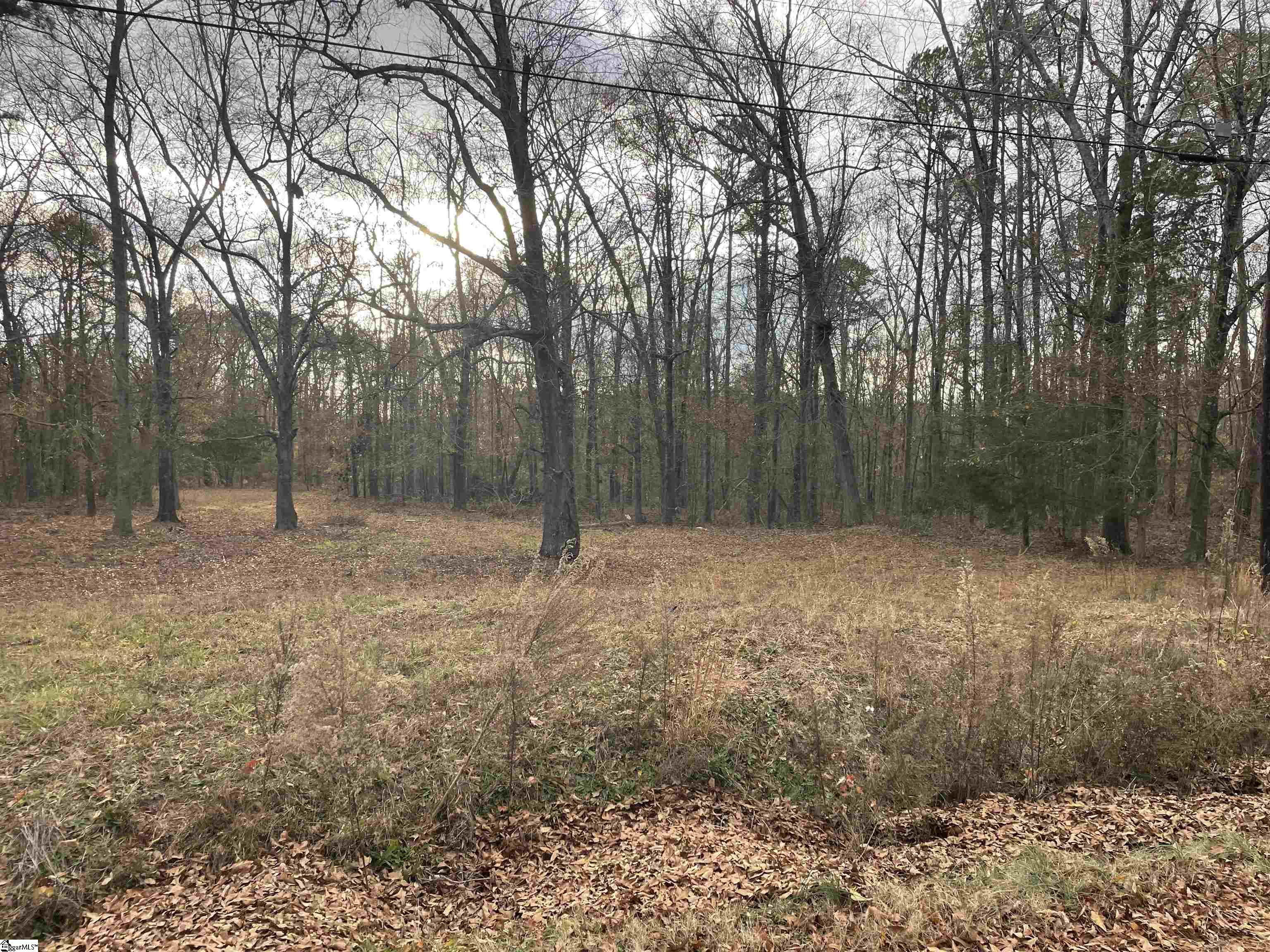 0 Blue Willow Circle Honea Path, SC 29654 - Photo 4 of 9