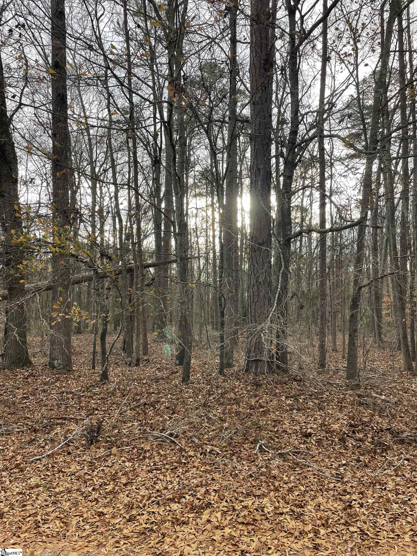 0 Blue Willow Circle Honea Path, SC 29654 - Photo 5 of 9