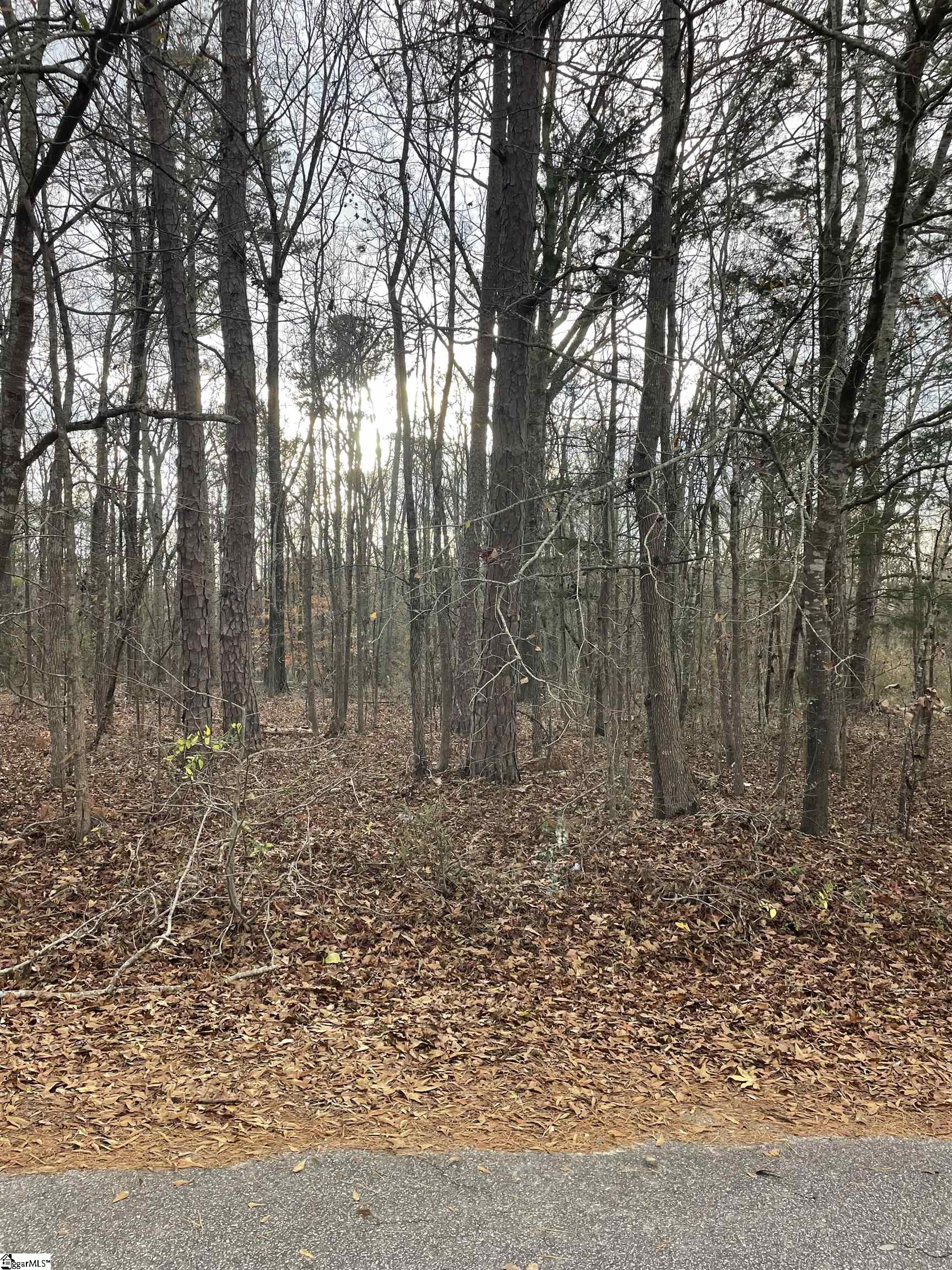 0 Blue Willow Circle Honea Path, SC 29654 - Photo 6 of 9