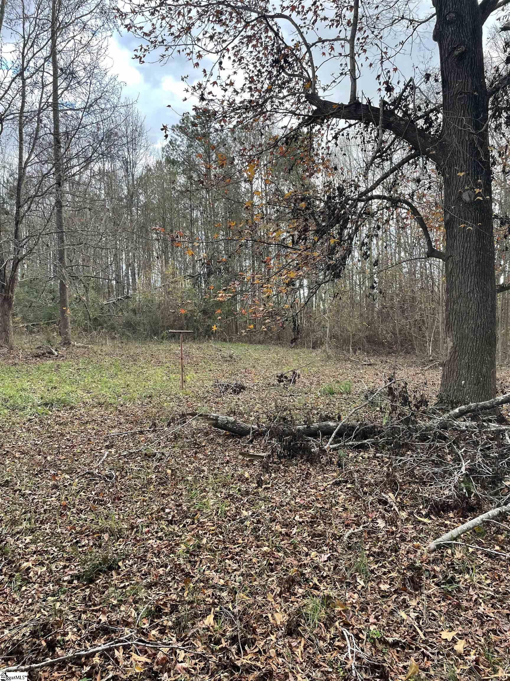 0 Blue Willow Circle Honea Path, SC 29654 - Photo 7 of 9