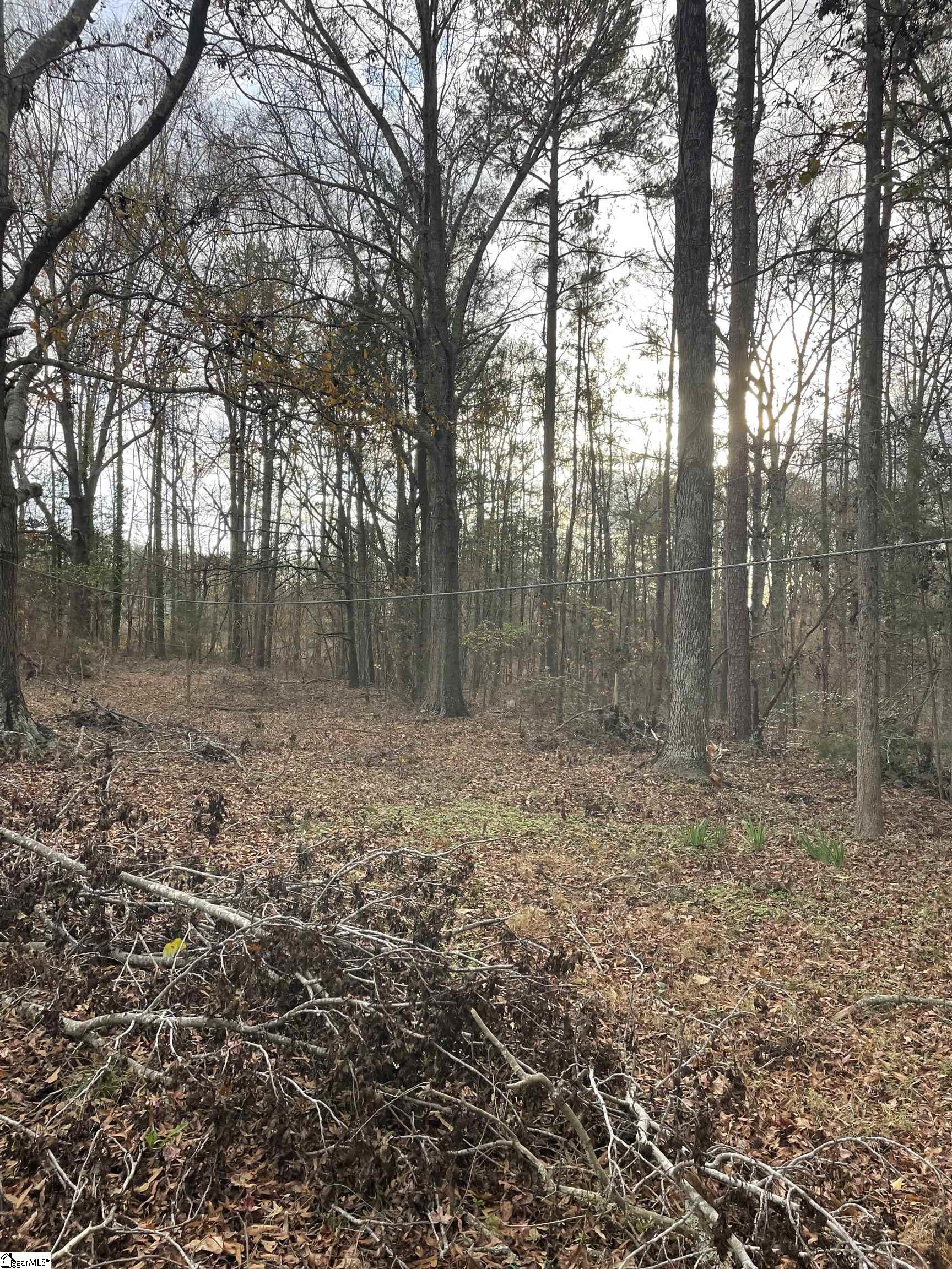 0 Blue Willow Circle Honea Path, SC 29654 - Photo 8 of 9